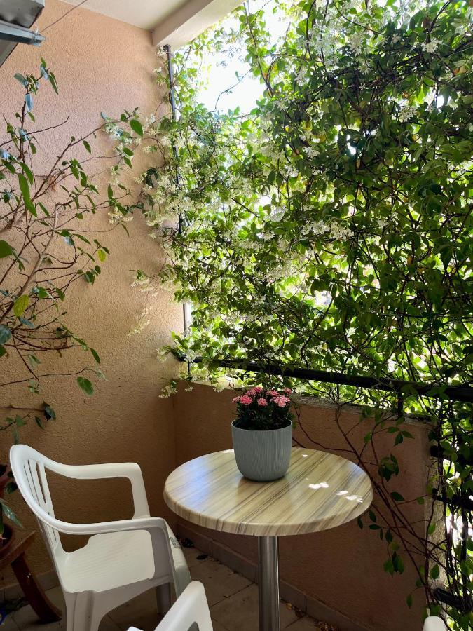 Apartmani Goran I Jelena Zec Budva Exterior photo